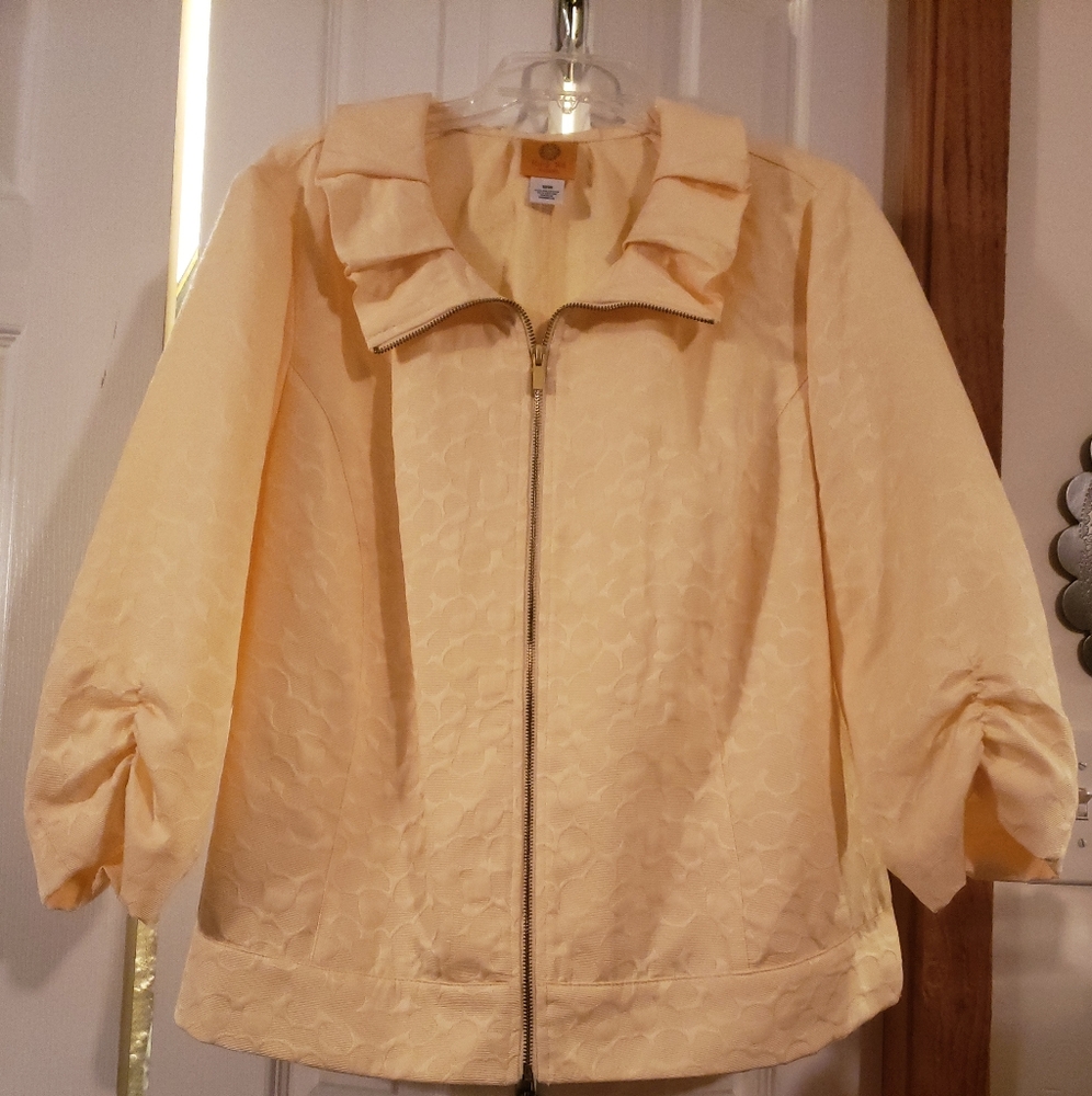 Yellow Jacket - Picture 4 of 4